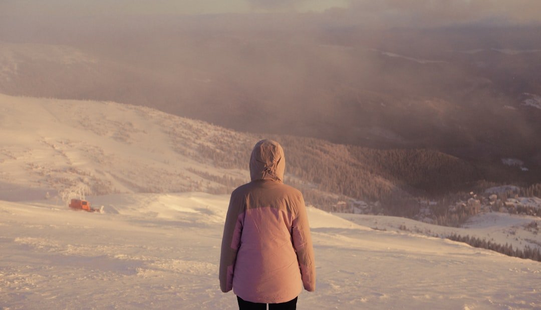 An image of a person standing and looking out over a snowly landscape
